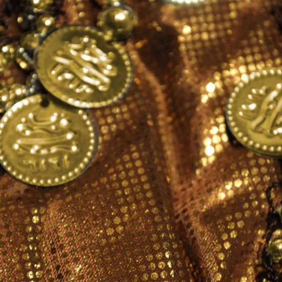 Belly Dancing Hip Scarf with Gold Coins for Dance Costume - Click Image to Close