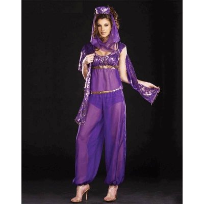 Costume Fantastic Genie Dreams or Harem Girl in Size XL