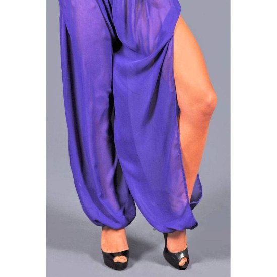 Belly Dance Costume Harem Pants - Click Image to Close