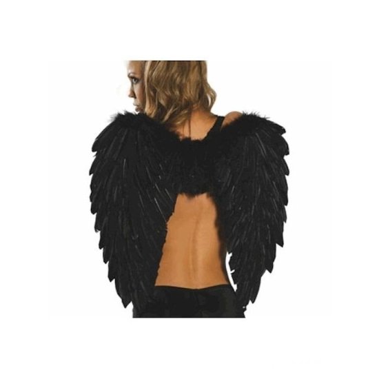 Feather Wings Black 19 Inches Tall - Click Image to Close