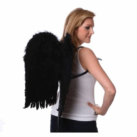 Feather Wings Black 23.5 Inches Tall - Click Image to Close