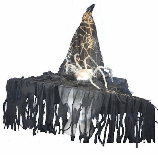 Witch Hat for a Halloween Costume in Spiderweb Design - Click Image to Close