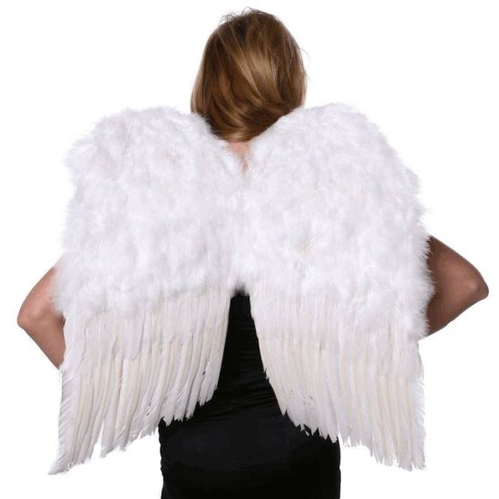 Feather Wings White 23.5 Inches Tall - Click Image to Close