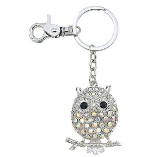 Keychain Owl of Enchantment - Click Image to Close