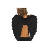Feather Wings Black 19 Inches Tall